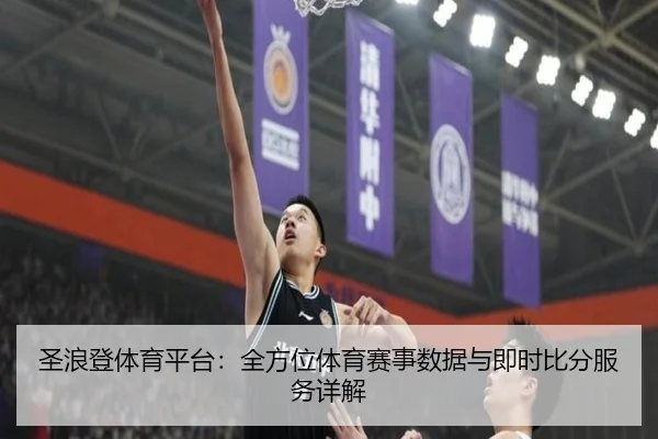 圣浪登体育平台：全方位体育赛事数据与即时比分服务详解