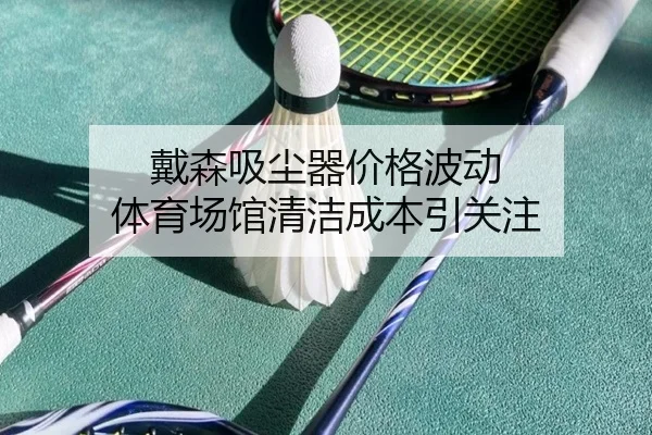 戴森吸尘器价格波动 体育场馆清洁成本引关注