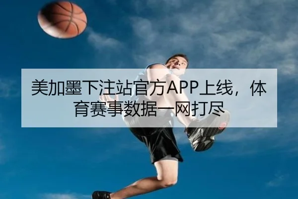 美加墨下注站官方APP上线，体育赛事数据一网打尽